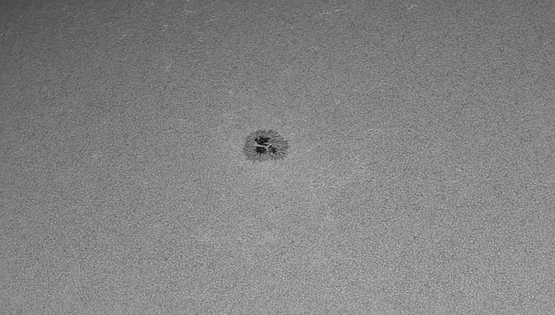 AR 2741 with 'White Light' deep sky filters and solar film